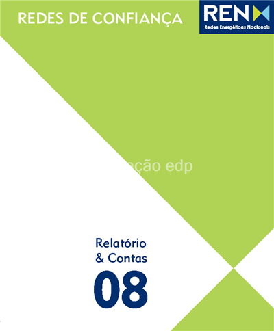 REN_Relatório_Contas_2008.pdf