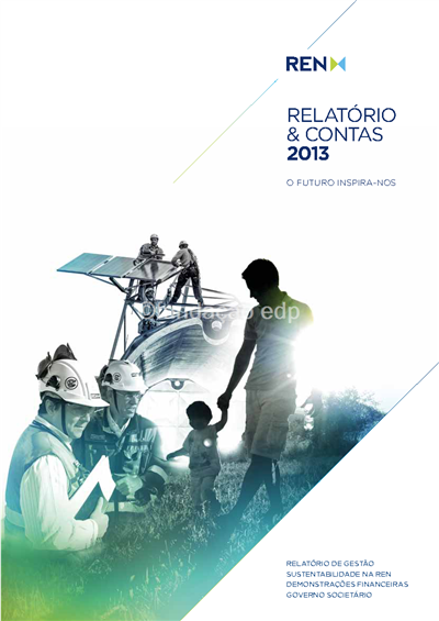 REN_Relatório_Contas_2013.pdf