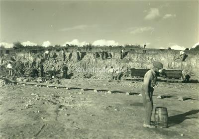 C.R.G.E. - Fábrica de Gás da Matinha _ Execução de desterros na quinta da Matinha _ 1938-12-20 _ Kurt Pinto _ 15137 _ 39.jpg